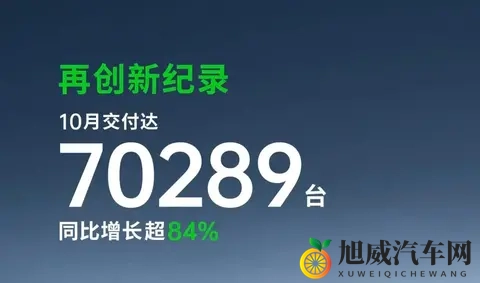 第1名=2-10名销量总和？10月新能源汽车销量相差太大-1