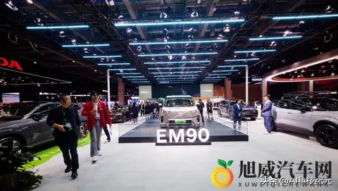 特斯拉和全球汽车大厂在进博会上与中国电动汽车展开角逐-1