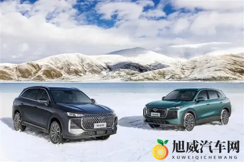 奇瑞最畅销SUV!第五代瑞虎8上市:限时929万元起-1