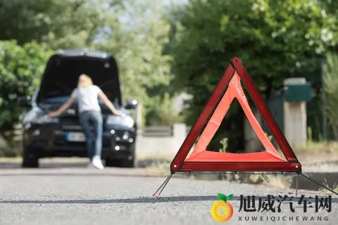 被告上法庭加调查!特斯拉突发大消息,股价开盘下跌442%-1