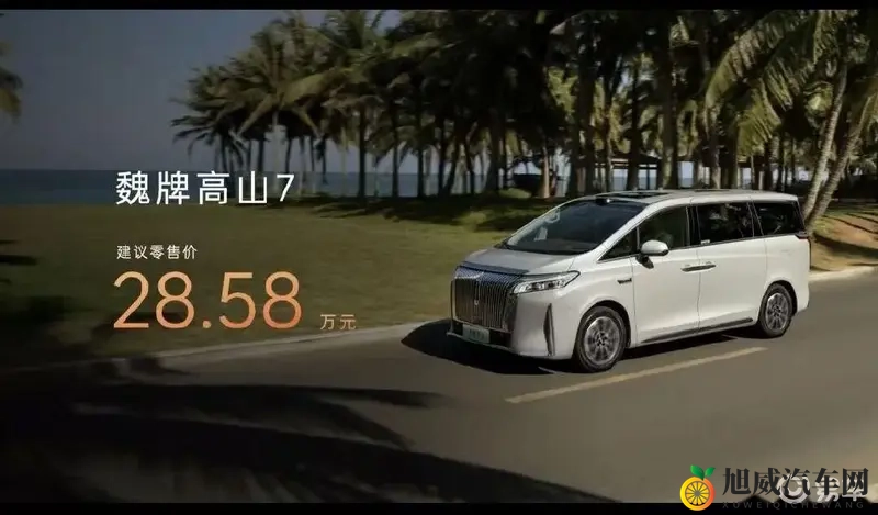 男人啪啪雌性宠物:汽车新体验:智能科技、个性定制、宠友座驾-1