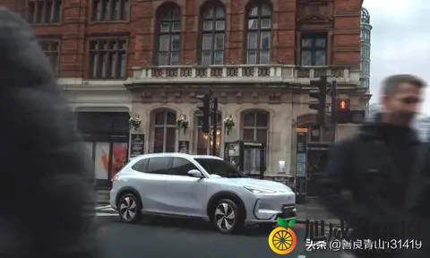 中国车企闯欧洲：从亏千万到市占74%的破冰舰队-3