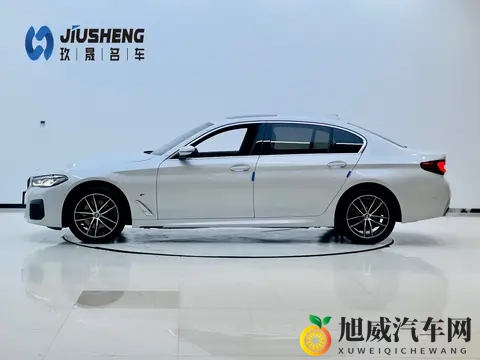 23年上牌的宝马5系,一手准新,宜商宜家好选择-2