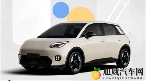 京东也开始造车了？首款新车亮相，001号车拍出7819万元“天价”-3