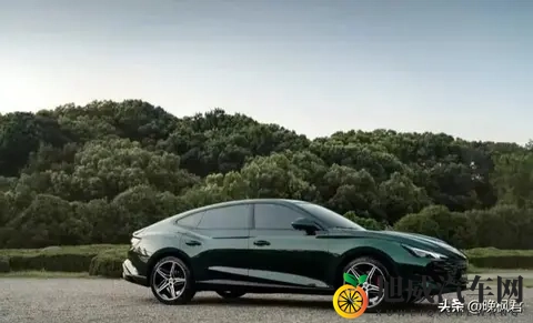 油价跳水车主静悄悄,电车吃火锅加油站长叹气,下个十年开啥车上路-3