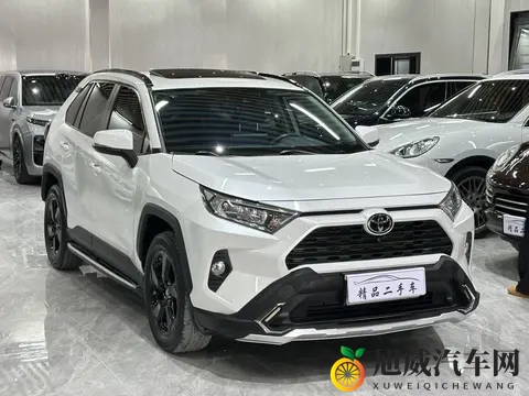 成av人：城市精英为何转向新能源座驾-1