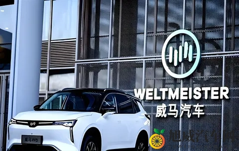 威马“物理复活”只是第一步，“市场复活”才是终极目标-3