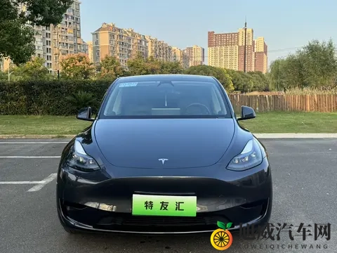 特斯拉Model Y准新车:66万公里,2259万开回家!-1
