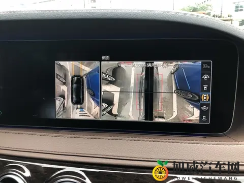 国产富婆被按摩师玩弄：高端汽车按摩门事件：揭秘行业隐忧-3