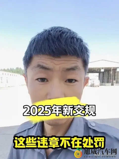 黄色软件app下载大全：黄色应用一站式下载平台-2