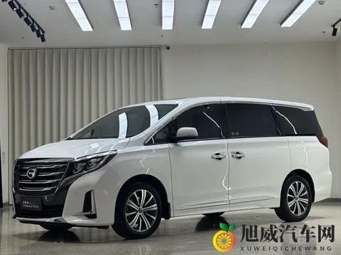 20款传祺M8，118万宜商宜家，奶爸升级MPV好选择-1