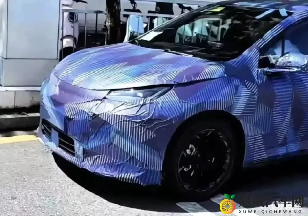 男生和女生一起差差差轮滑鞋：男女携手体验轮滑乐趣-1