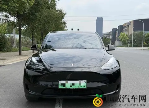 二手特斯拉Model Y购买指南：性价比，风险，未来？-3