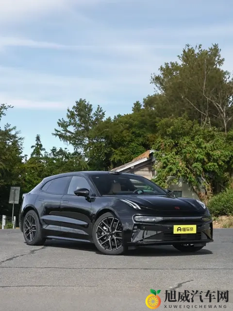 网爆门：汽车行业丑闻曝光，揭秘内幕，质量危机引担忧-3