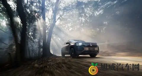 大众途昂Pro降价4万成焦点？智能配置升级背后藏着啥秘密-2