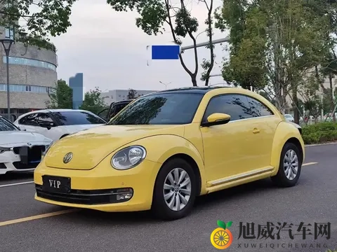 黑巨茎大战欧洲金发美女:暗夜巨茎挑战欧陆丽人风采-2