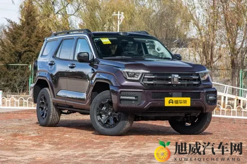 二手坦克400 Hi4 T保姆级选购指南-3