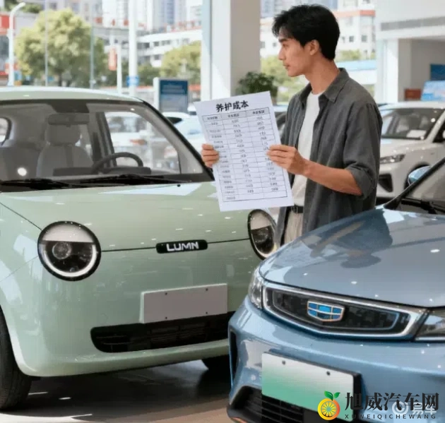 成欢阁：智能驾驶新标杆，绿色出行未来已来-1