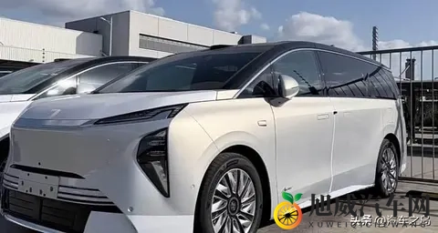 别克至境世家来了！比腾势D9还大，插混纯电任你挑-3