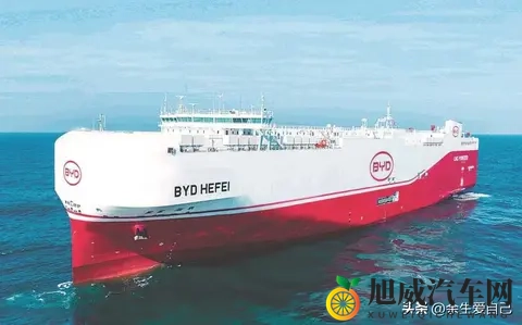 丰田大本营，被一辆比亚迪“海獭”惊醒了-3