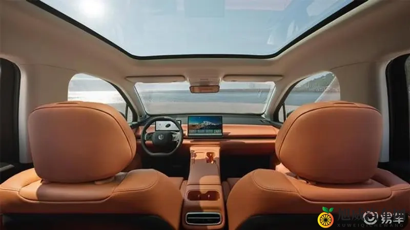 Japanese老师丰满多毛：日本教师身材丰腴，体毛浓密引人注目-2