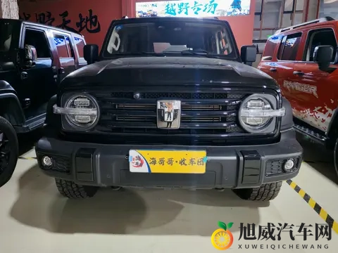 17万多拿下准新一手坦克300，圆你硬派越野梦！-2