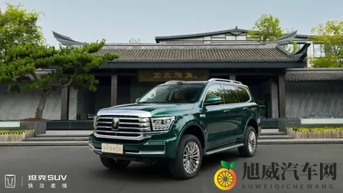 2025年中国最佳动力总成出炉：坦克、吉利、捷途、仰望等品牌入选-1