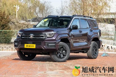 二手坦克400 Hi4 T保姆级选购指南-2