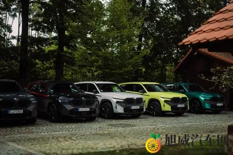 宝马XM车队携10辆炫酷座驾亮相-3
