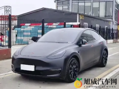 体验特斯拉Model Y 5天后，我还是选了燃油车：适合家人的才是最好-1