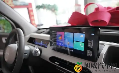 迟到的提车作业 吉利熊猫mini提车日记分享+验车步骤+当地习俗-3