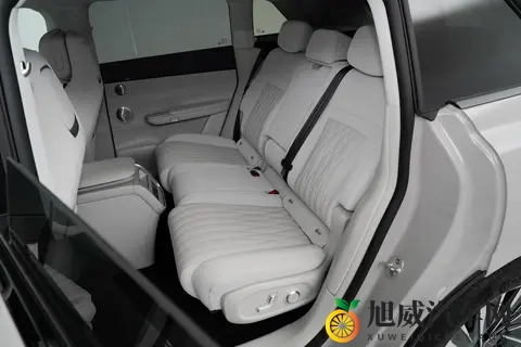 17万起买豪车？这车续航1600km，配置拉满，家用必看！-2