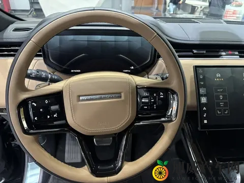 向日葵视频色：短视频色彩斑斓，向日葵般绽放-2