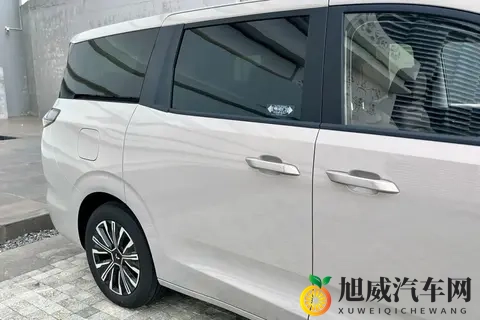 不到8万买家用大七座，油、电、混动全都有！-1
