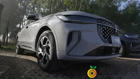 刷到测试场对比视频：航海家水杯稳如动画，分贝差得太明显-1