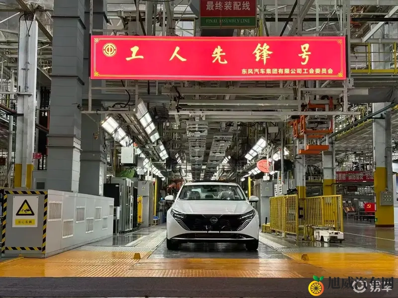 吴梦梦教练和健身教练合作方式：健身跨界新潮流，教练联姻开创新天地-2