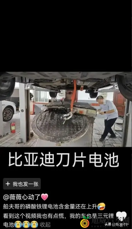 男人日女人的软件：男性专用女性互动平台-3