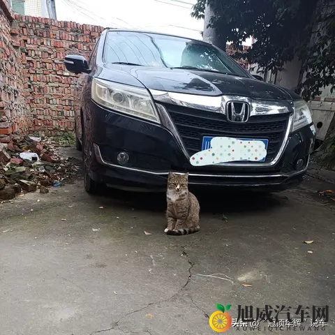 韩系车在中国卖不动了，全球却年销723万，这矛盾太真实-2