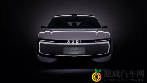 奥迪E5 Sportback：PPE平台首秀，豪华电动旅行车的全景解读-2
