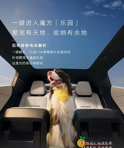 黄片APP：色情内容下载平台-3