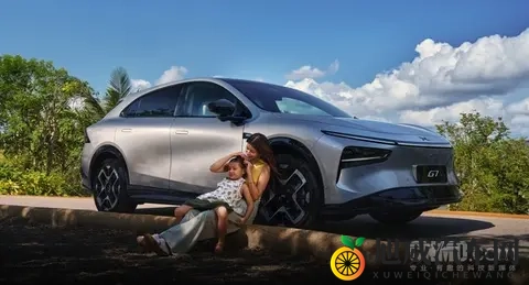 最新新势力车企销量目标完成度曝光：小鹏提前达标-1