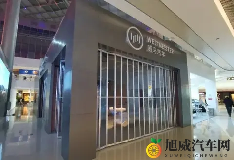 威马汽车App重新上线！-3