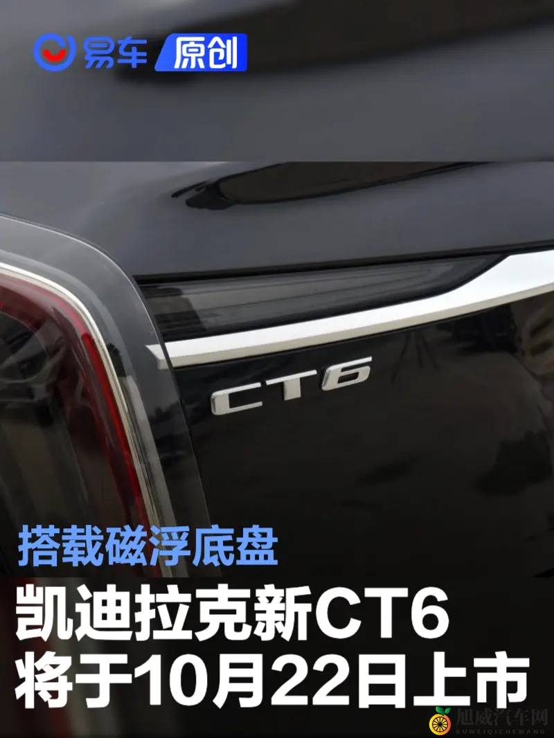 蝌蚪窝一个释放的：新锐车型惊艳上市，颠覆驾驶体验-2