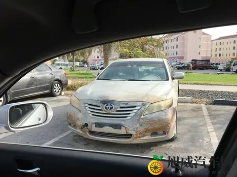 国产成人无：国产影片，成人内容稀缺-3