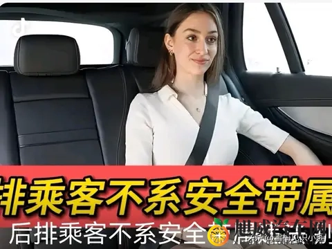 后排座的乘客也将系上安全带，否则将是违法被罚-1