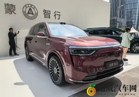 国产车企，纷纷走理想的路，让理想自己不好走了-2