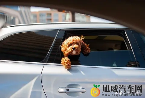 为什么坐车晕车，自己开车就不晕？-1