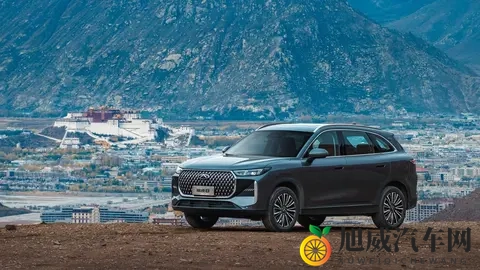 还会有惊喜？第五代瑞虎8即将上市，预售价1059万元起-3