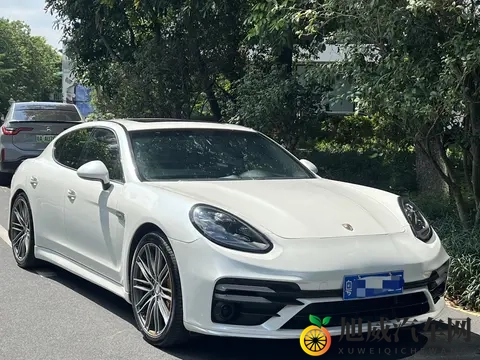 十年Panamera还能战!36L自吸,圆你保时捷梦-2