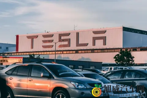 日本卖婬BBw护士多毛毛：日本护士行业奇观：BBW多毛现象引人注目-2